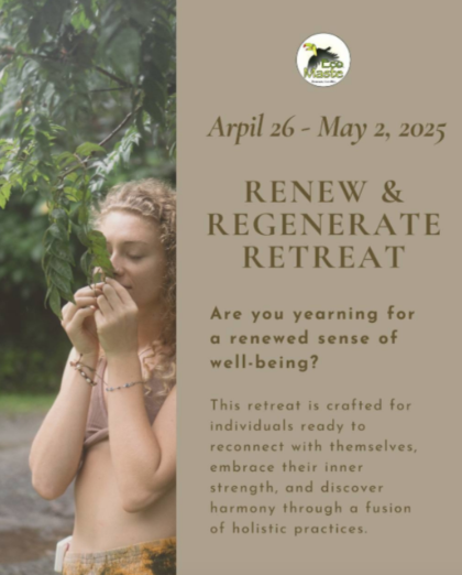 ✨Renew & Regenerate✨